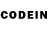 Ecstasy Philipp Plein _DavidPlayGaming _