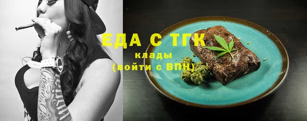 хмурый Алексин