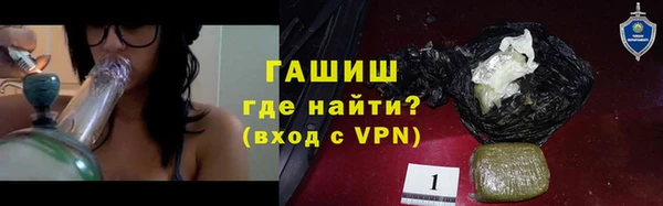 хмурый Алексин