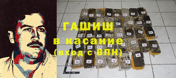хмурый Алексин