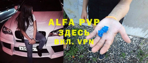 хмурый Алексин