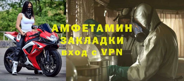 хмурый Алексин