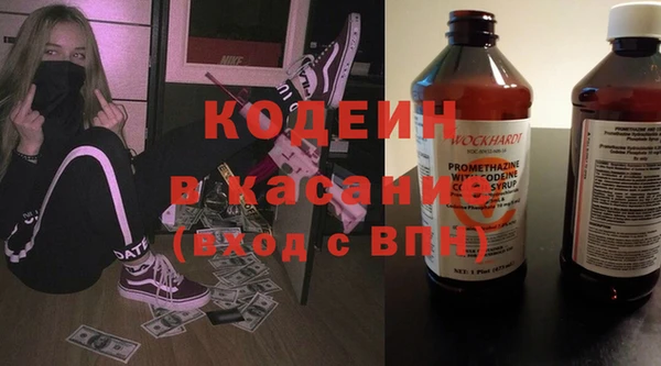 хмурый Алексин