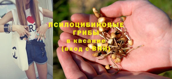 прущая мука Алзамай