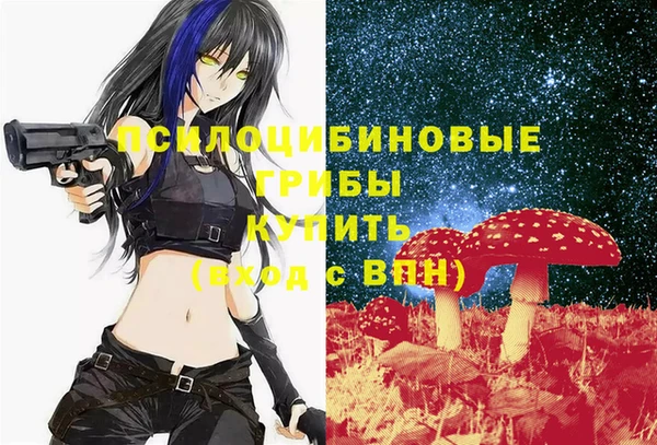 хмурый Алексин