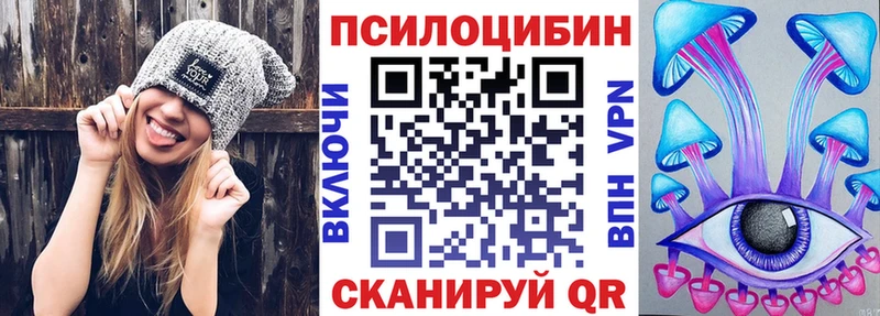 как найти Ленинск-Кузнецкий Галлюциногенные грибы Magic Shrooms